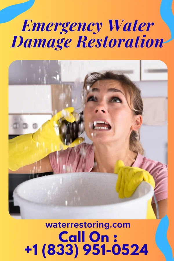 Emergency Water Damage Restoration in Kennebec, SD