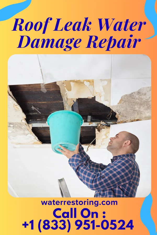 Roof Leak Water Damage Repair in Kennebec, SD